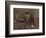 Portrait de Baudelaire-Gustave Courbet-Framed Giclee Print