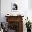 Portrait de Face sur Fond Rose et Vert-Pablo Picasso-Collectable Print displayed on a wall