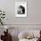 Portrait de Face sur Fond Rose et Vert-Pablo Picasso-Framed Collectable Print displayed on a wall