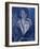 Portrait in Blue-Diana Ong-Framed Giclee Print