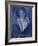 Portrait in Blue-Diana Ong-Framed Giclee Print