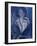 Portrait in Blue-Diana Ong-Framed Giclee Print
