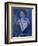 Portrait in Blue-Diana Ong-Framed Giclee Print