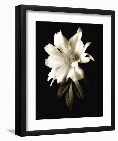 Portrait in White I-John Rehner-Framed Art Print