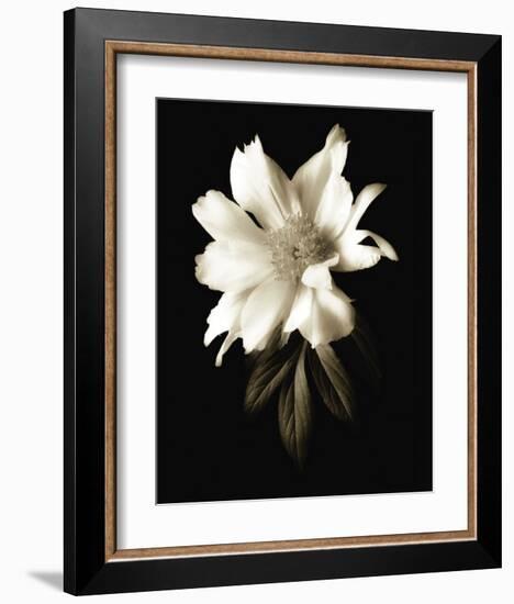 Portrait in White I-John Rehner-Framed Art Print