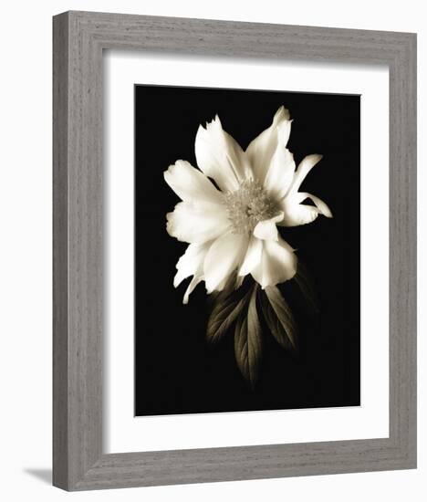 Portrait in White I-John Rehner-Framed Art Print