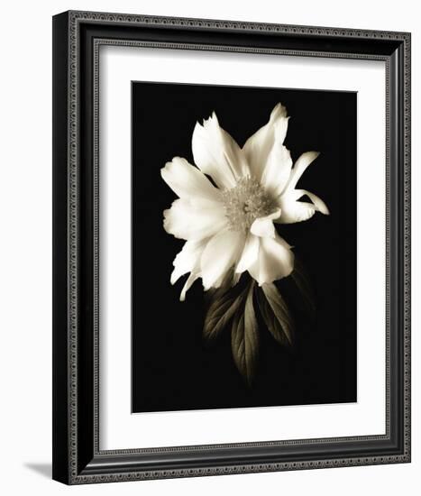 Portrait in White I-John Rehner-Framed Art Print