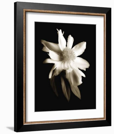 Portrait in White II-John Rehner-Framed Art Print