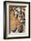 Portrait, Indochinese Tiger or Corbett's Tiger, Thailand-Peter Adams-Framed Photographic Print