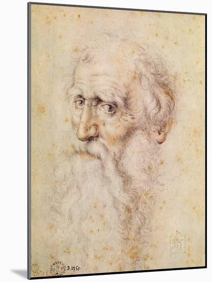 Portrait of a Bearded Old Man-Albrecht Dürer-Mounted Giclee Print