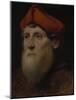 Portrait of a Bearded Prelate, C.1520-40 (Oil on Canvas)-Italian School-Mounted Giclee Print