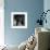 Portrait of a Black Cat on a Chair-null-Framed Photographic Print displayed on a wall