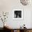 Portrait of a Black Cat on a Chair-null-Framed Photographic Print displayed on a wall