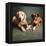 Portrait of a Boxer Dog and Golden Labrador Dog-null-Framed Premier Image Canvas