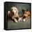 Portrait of a Boxer Dog and Golden Labrador Dog-null-Framed Premier Image Canvas
