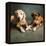 Portrait of a Boxer Dog and Golden Labrador Dog-null-Framed Premier Image Canvas