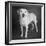 Portrait of a Boxer Dog and Golden Labrador Dog-null-Framed Photographic Print