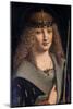 Portrait of a Boy as Saint Sebastian-Giovanni Antonio Boltraffio-Mounted Giclee Print