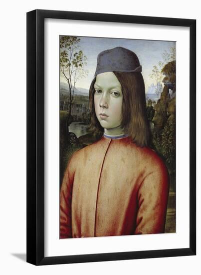 Portrait of a Boy, C. 1480-85-Pinturicchio-Framed Giclee Print