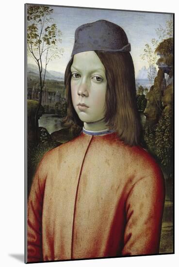 Portrait of a Boy, C. 1480-85-Pinturicchio-Mounted Giclee Print