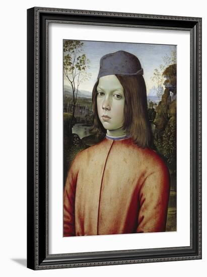 Portrait of a Boy, C. 1480-85-Pinturicchio-Framed Giclee Print