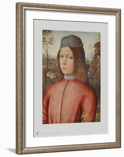 Portrait of a Boy-Pinturicchio-Framed Collectable Print