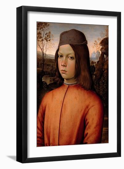 Portrait of a Boy-Bernardino di Betto Pinturicchio-Framed Giclee Print