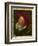 Portrait of a Buffoon-Frans Hals-Framed Giclee Print