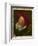 Portrait of a Buffoon-Frans Hals-Framed Giclee Print