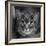 Portrait of a Cat on a Chair-Panoramic Images-Framed Photographic Print