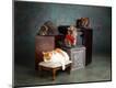Photographic Print