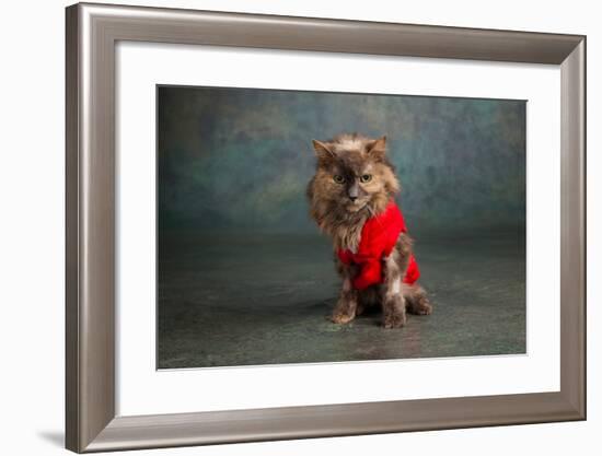 Portrait of a Cat-null-Framed Photographic Print