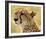 Portrait of a Cheetah Full Bleed-Martin Fowkes-Framed Giclee Print