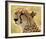 Portrait of a Cheetah Full Bleed-Martin Fowkes-Framed Giclee Print