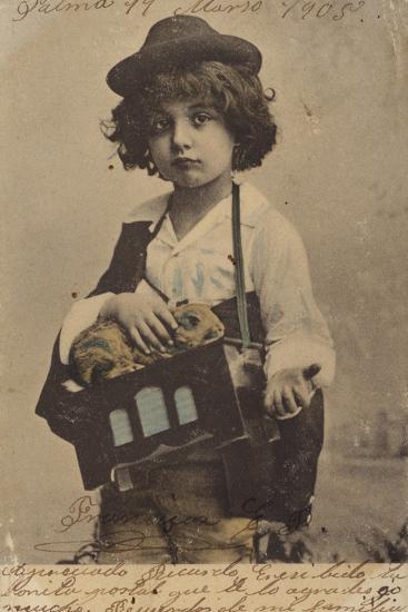 Photographic Print, , large