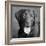 Portrait of a Chocolate Labrador Dog-null-Framed Photographic Print