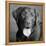 Portrait of a Chocolate Labrador Dog-null-Framed Premier Image Canvas