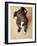 Portrait of a Cute Dog Looking at the Camera with it's Head Cocked to the Side.-Karine Aigner-Framed Photographic Print