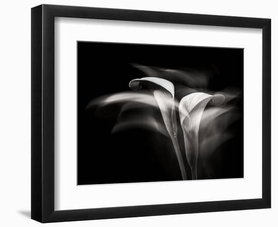 Portrait Of A Flower 5-Janet Slater-Framed Photographic Print