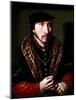 Portrait of a Gentleman, 16Th Century (Oil on Panel)-Ambrosius Benson-Mounted Giclee Print