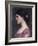 Portrait of a Girl-John William Waterhouse-Framed Giclee Print