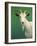 Portrait of a Goat-James W. Johnson-Framed Giclee Print