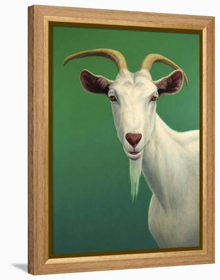 Portrait of a Goat-James W. Johnson-Framed Premier Image Canvas