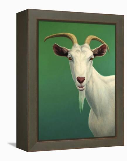 Portrait of a Goat-James W. Johnson-Framed Premier Image Canvas