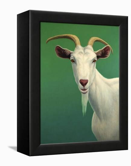 Portrait of a Goat-James W. Johnson-Framed Premier Image Canvas