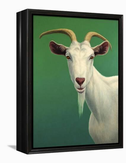 Portrait of a Goat-James W. Johnson-Framed Premier Image Canvas