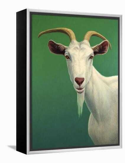 Portrait of a Goat-James W. Johnson-Framed Premier Image Canvas