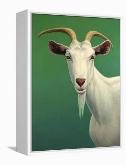 Portrait of a Goat-James W. Johnson-Framed Premier Image Canvas