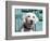 Portrait of a Goldendoodle Puppy Sitting in Front of a Blue Door, New Mexico, USA-Zandria Muench Beraldo-Framed Photographic Print