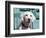 Portrait of a Goldendoodle Puppy Sitting in Front of a Blue Door, New Mexico, USA-Zandria Muench Beraldo-Framed Photographic Print